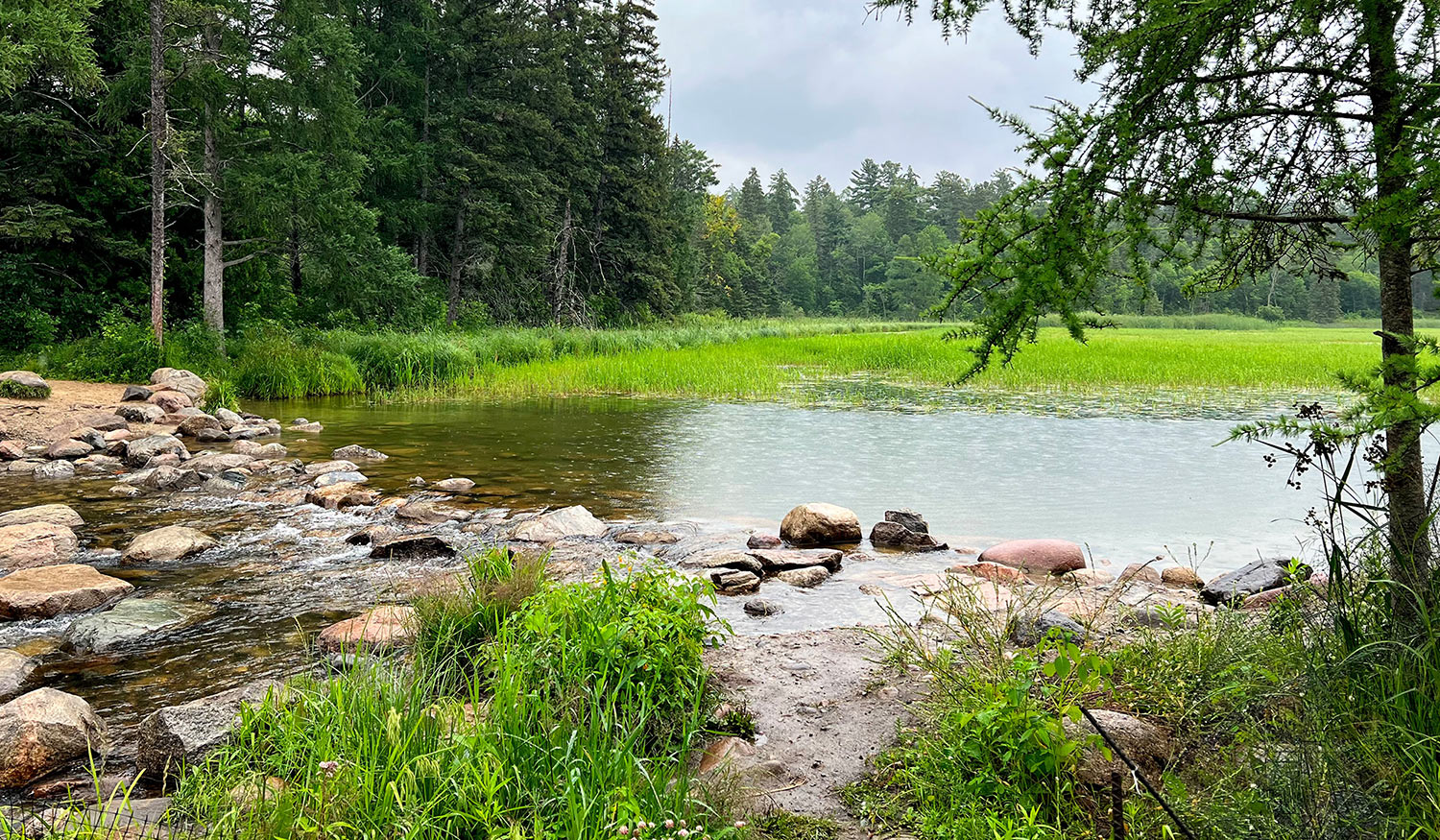 Mississippi River Headwaters Eric Gets Lost   Itasca7 Thumb 