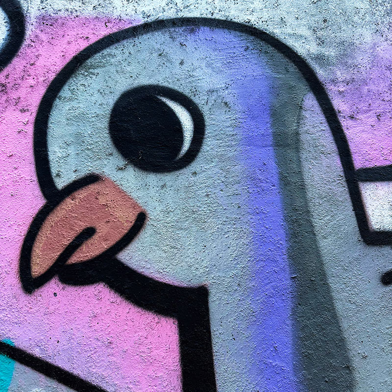 Graffiti Bird