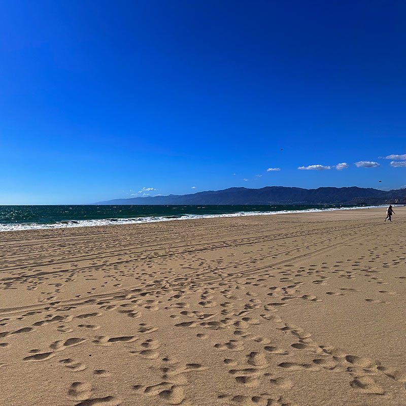 Venice Beach